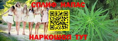мдпв Гусь-Хрустальный