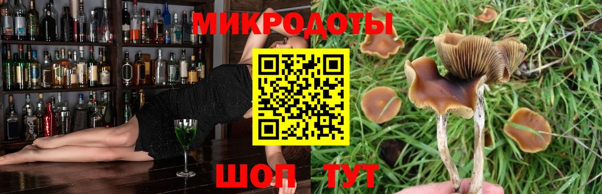 Псилоцибиновые грибы ЛСД Майкоп