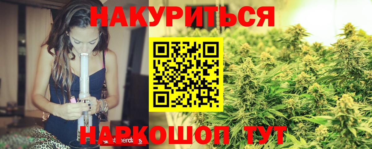 Каннабис конопля Майкоп